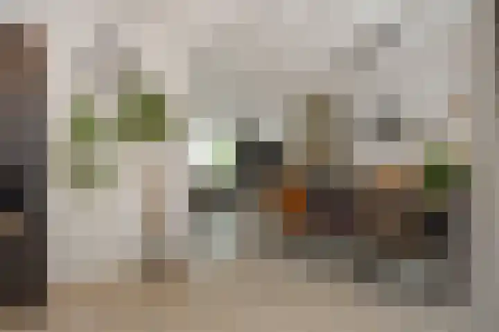 Heirust 6 Rosmalen thumbnail 8