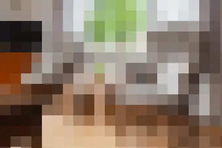 Heirweg 23 Sleen thumbnail 10