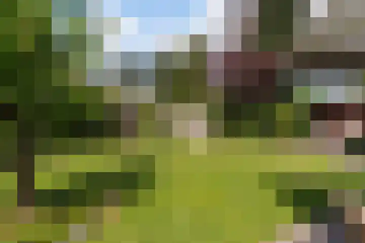 Heirweg 23 Sleen thumbnail 36