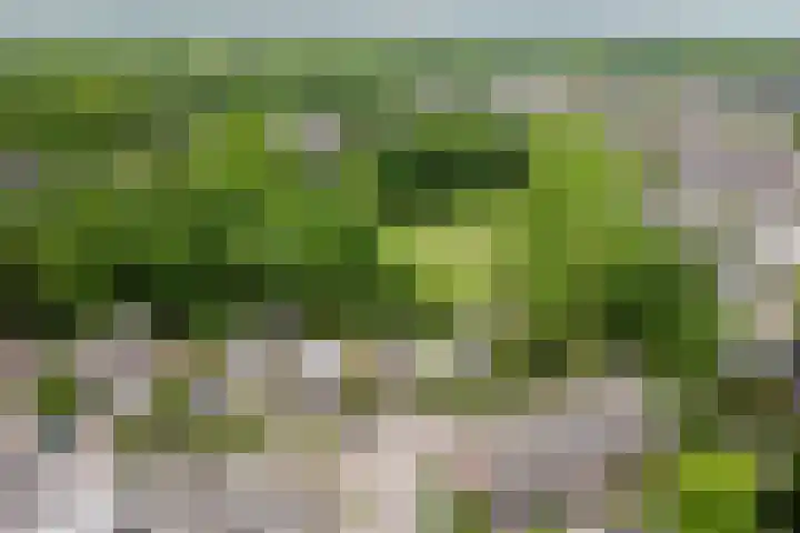Heirweg 23 Sleen thumbnail 40