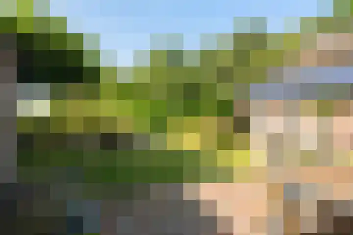 Heirweg 26 Balinge thumbnail 23