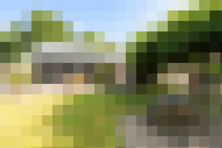 Heirweg 26 Balinge thumbnail 24