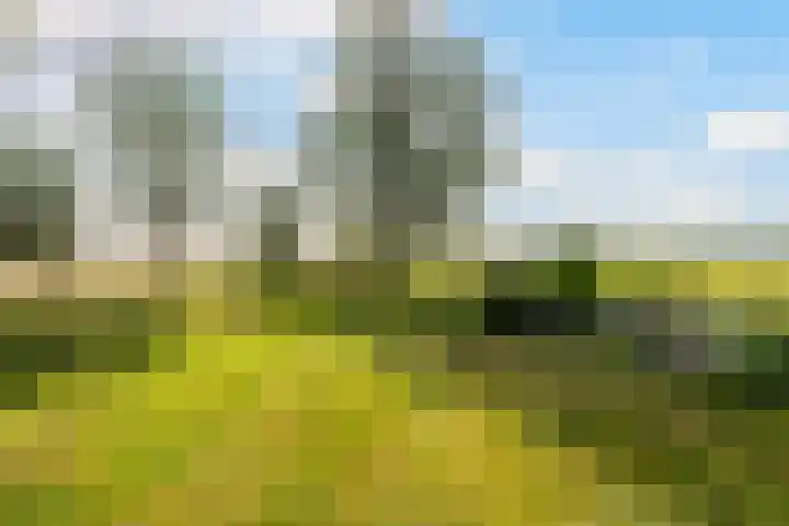 Heirweg 26 Balinge thumbnail 29