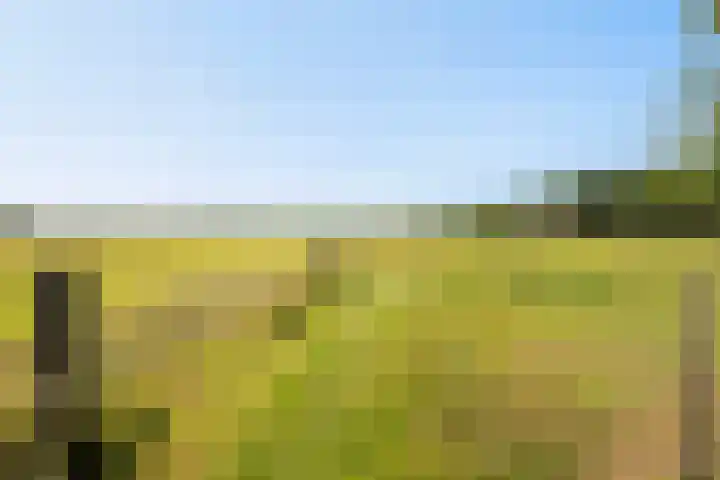 Heirweg 26 Balinge thumbnail 31
