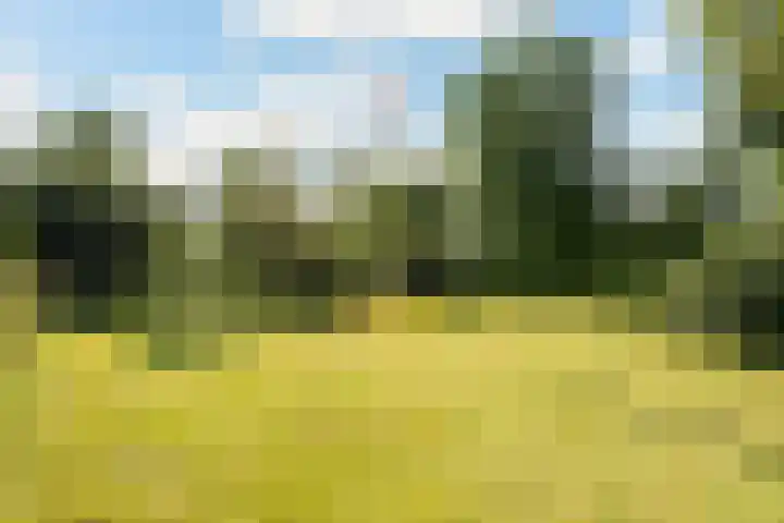 Heirweg 26 Balinge thumbnail 32
