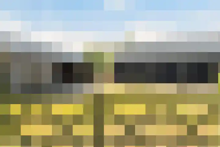 Heirweg 26 Balinge thumbnail 4