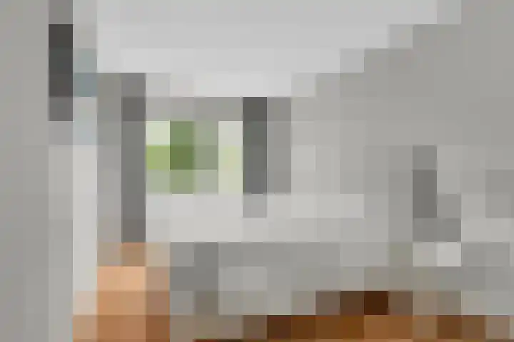 Heirweg 26 Balinge thumbnail 5
