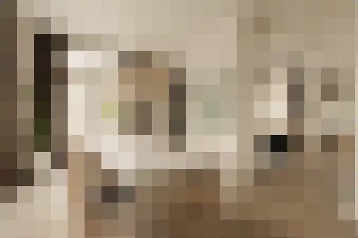 Heirweg 26 Balinge thumbnail 9