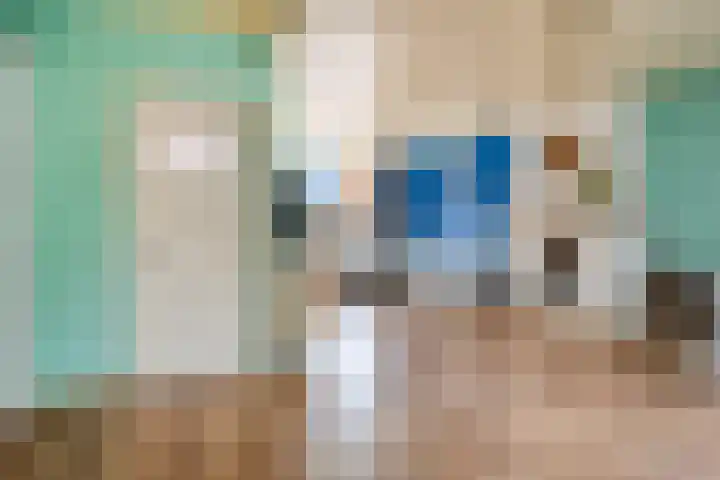 Heischeutstraat 49 Oss thumbnail 10
