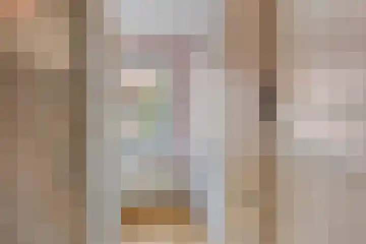 Heischeutstraat 49 Oss thumbnail 14
