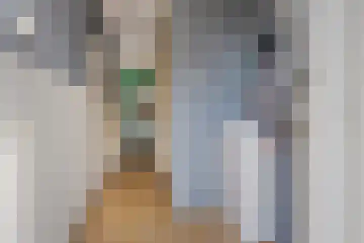 Heischeutstraat 49 Oss thumbnail 15