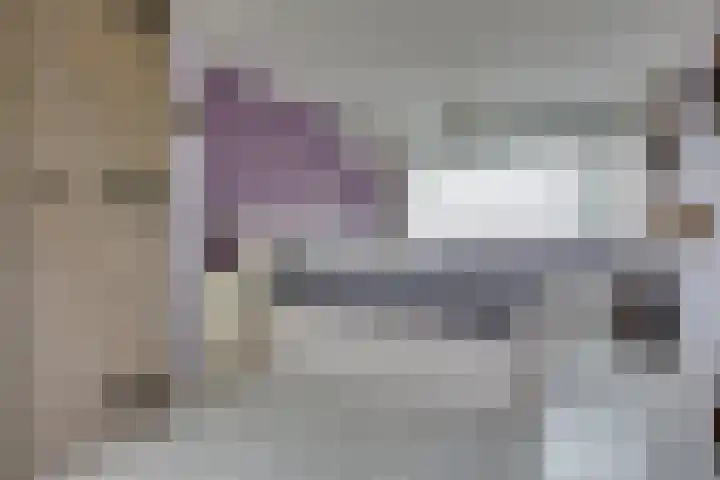 Heischeutstraat 49 Oss thumbnail 16