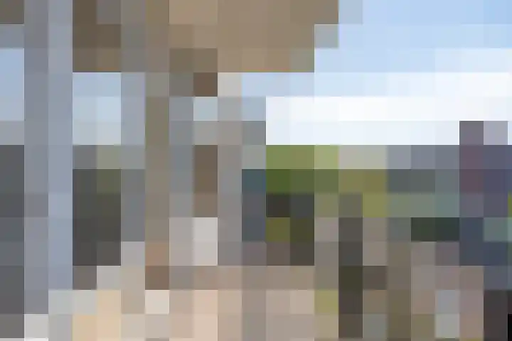 Heischeutstraat 49 Oss thumbnail 17