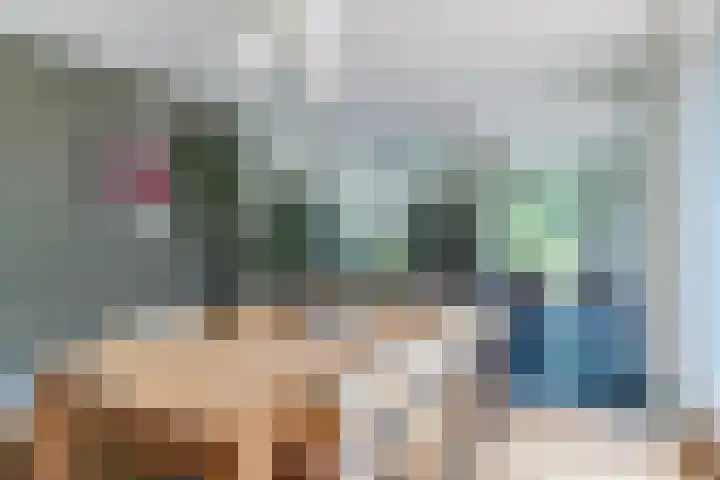 Heischeutstraat 49 Oss thumbnail 20