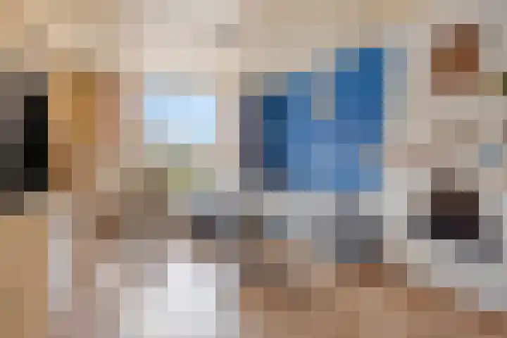 Heischeutstraat 49 Oss thumbnail 4