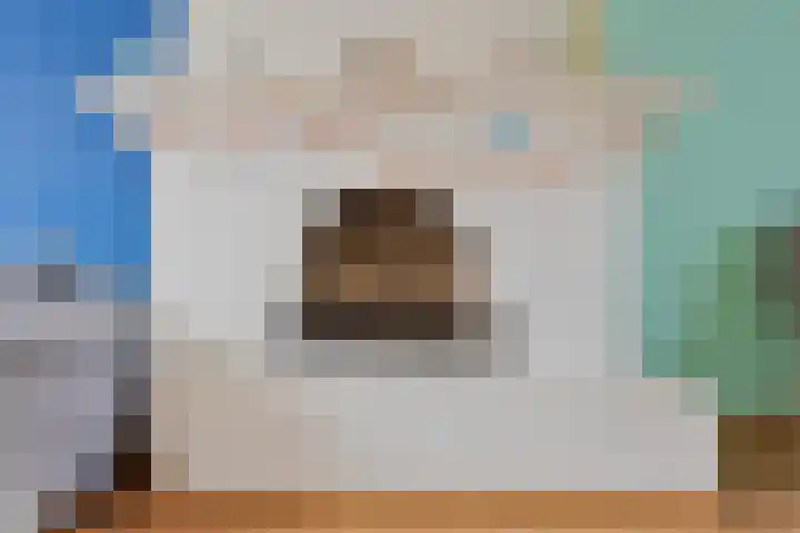 Heischeutstraat 49 Oss thumbnail 5