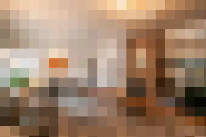 Heischeutstraat 96 Oss thumbnail 10