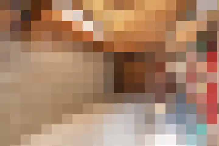 Heischeutstraat 96 Oss thumbnail 13