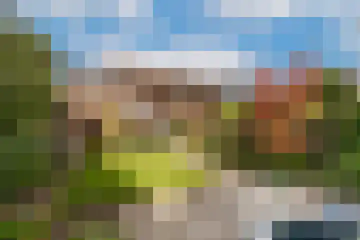 Heischeutstraat 96 Oss thumbnail 21