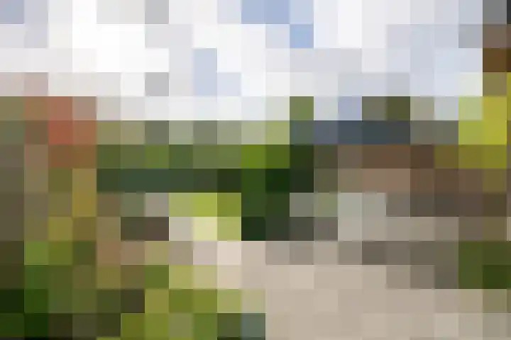 Heischeutstraat 96 Oss thumbnail 24