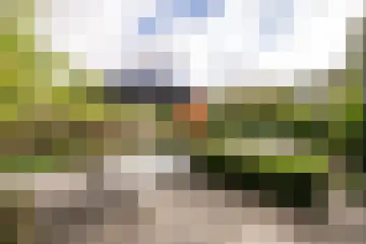 Heischeutstraat 96 Oss thumbnail 25
