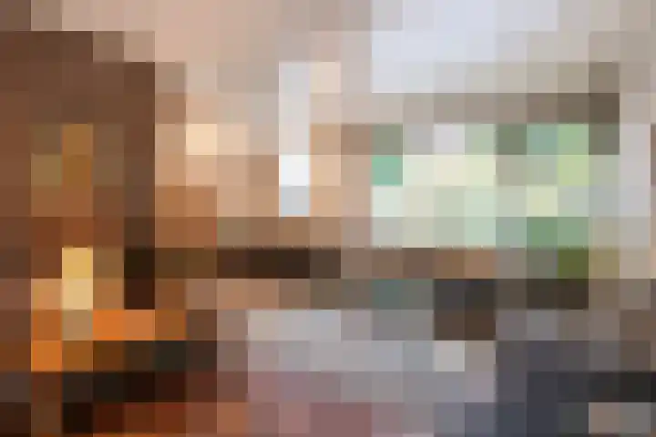 Heischeutstraat 96 Oss thumbnail 8
