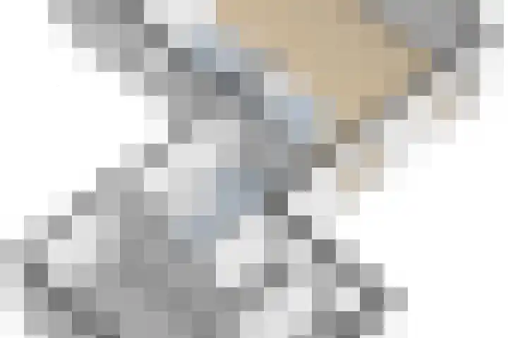 Heisteeg 109 Stein thumbnail 30