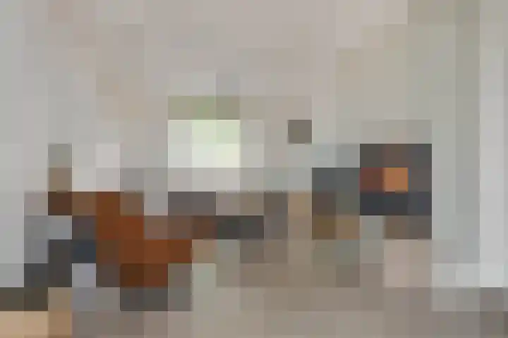 Heisteeg 109 Stein thumbnail 6