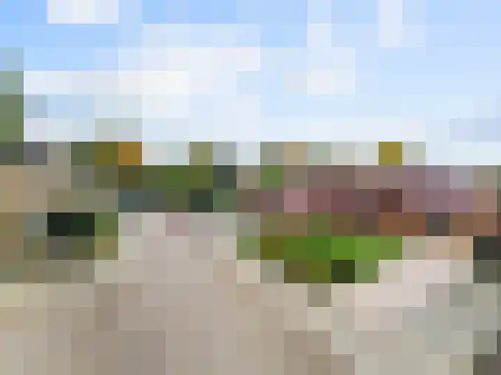 Heisteeg 83 Stein thumbnail 30