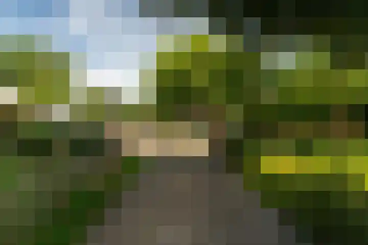 Heistraat 155 Sprang-Capelle thumbnail 12