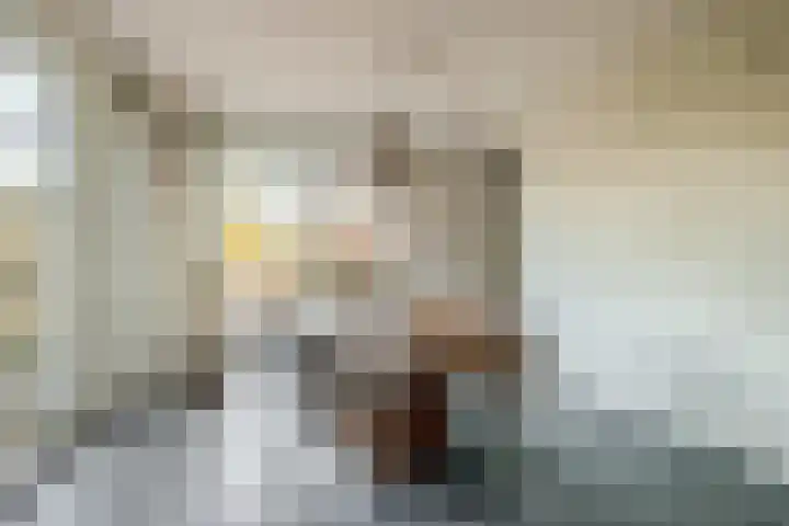 Heistraat 240 Sprang-Capelle thumbnail 21