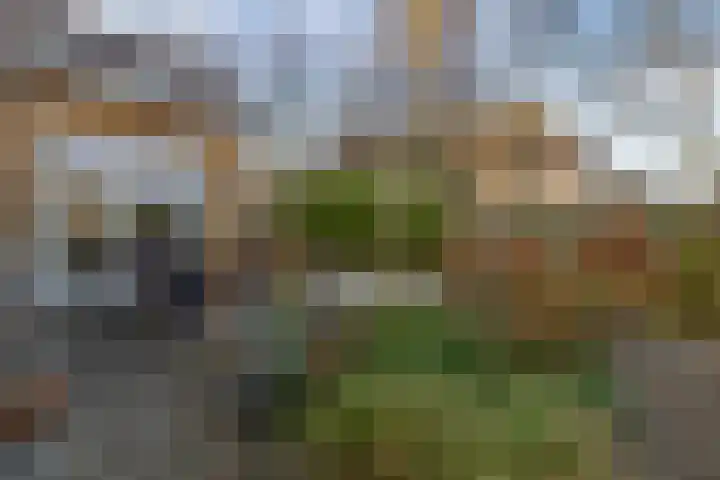 Heistraat 240 Sprang-Capelle thumbnail 46