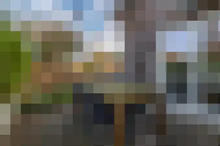 Heistraat 240 Sprang-Capelle thumbnail 47