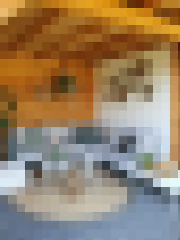 Heistraat 240 Sprang-Capelle thumbnail 73