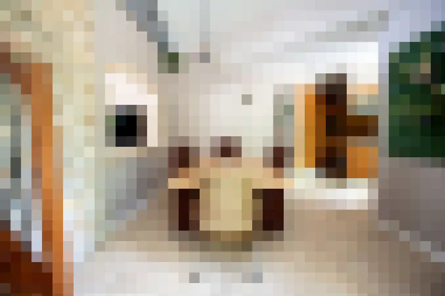 Heistraat 6 B Velp thumbnail 24
