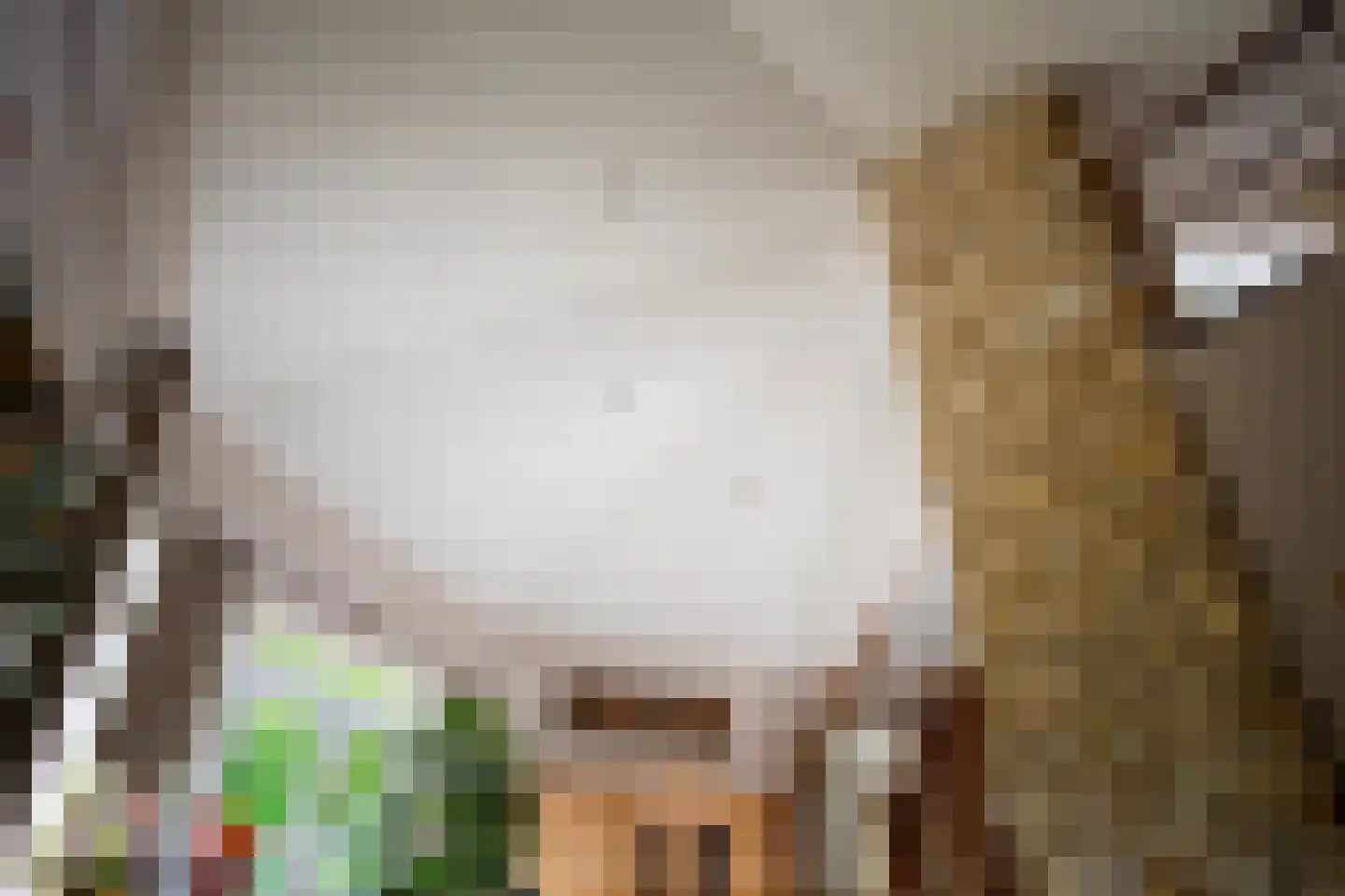 Heistraat 6 B Velp thumbnail 27