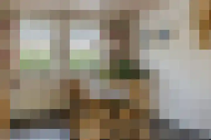 Heiveld 15 Rijsbergen thumbnail 12