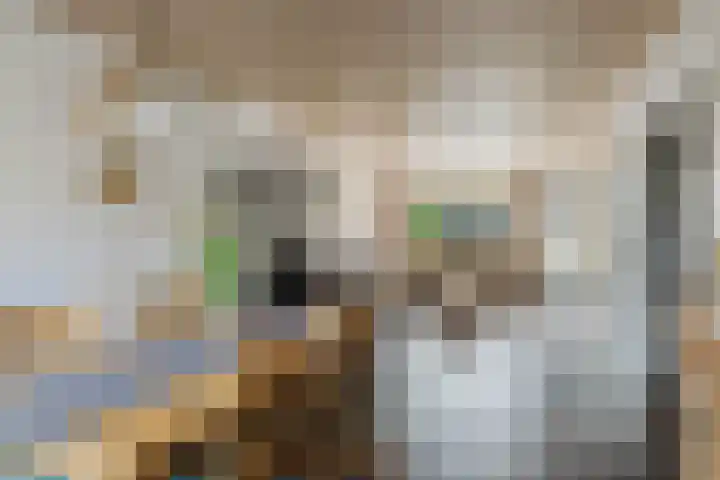 Heiveld 15 Rijsbergen thumbnail 13