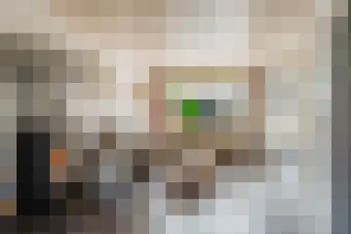Heiveld 15 Rijsbergen thumbnail 15
