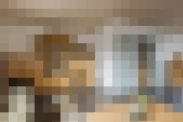 Heiveld 15 Rijsbergen thumbnail 18