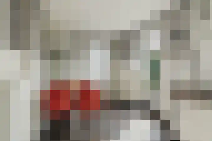 Heiveld 15 Rijsbergen thumbnail 24