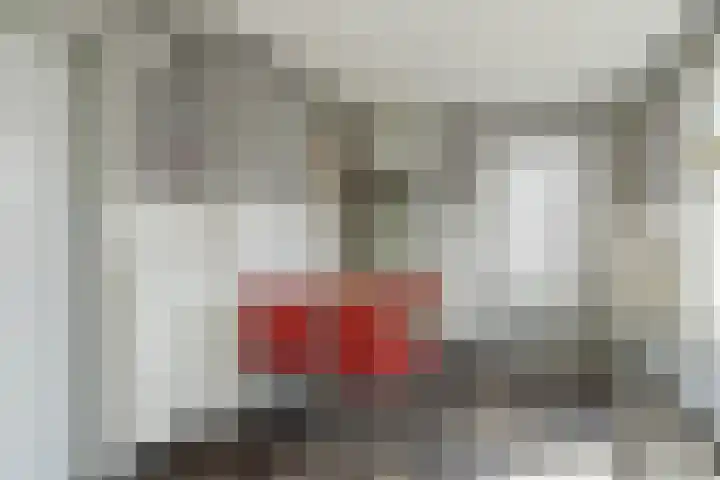 Heiveld 15 Rijsbergen thumbnail 25