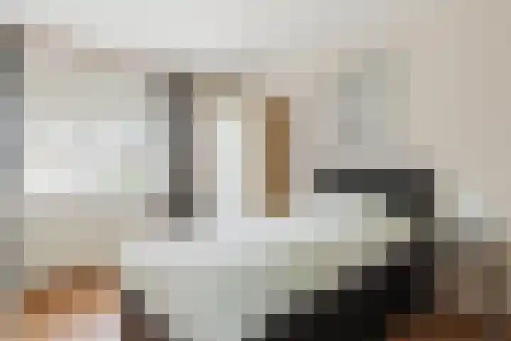 Heiveld 15 Rijsbergen thumbnail 38