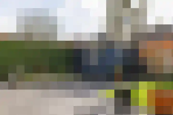 Heiveld 15 Rijsbergen thumbnail 47