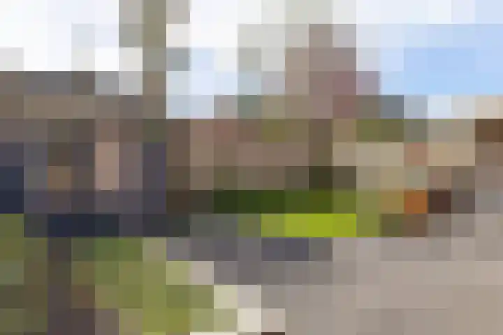 Heiveld 15 Rijsbergen thumbnail 48