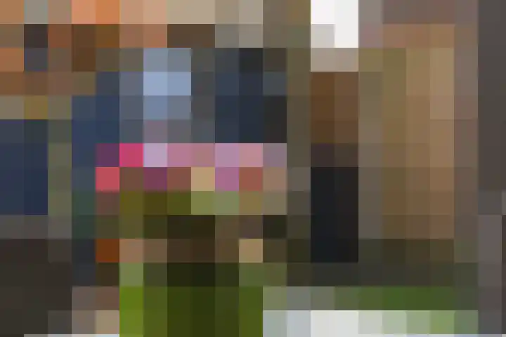 Heiveld 15 Rijsbergen thumbnail 49
