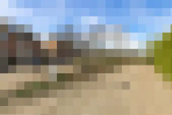Heiveld 15 Rijsbergen thumbnail 7