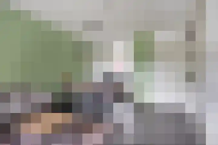Heiveld 16 Vorstenbosch thumbnail 11