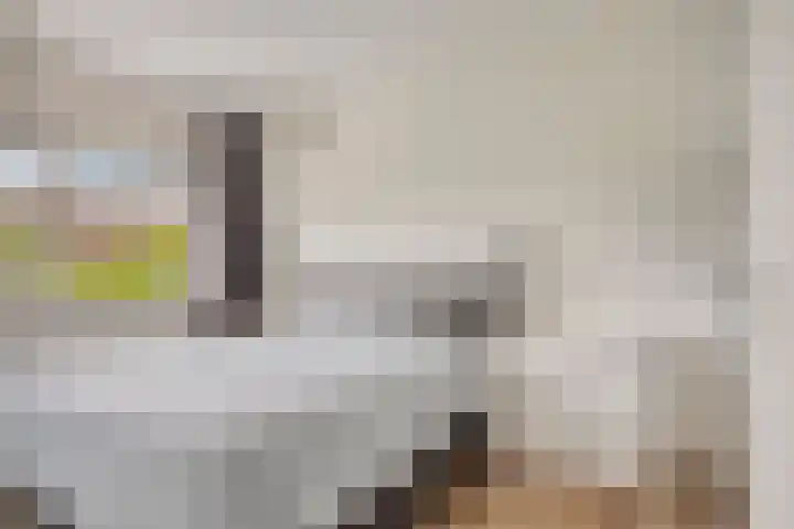 Heiveld 16 Vorstenbosch thumbnail 17