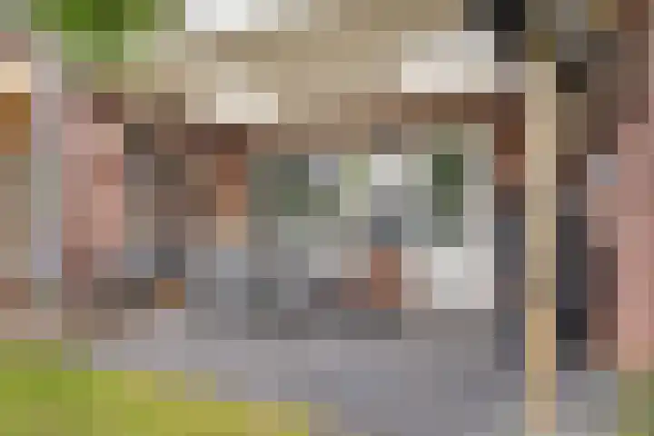 Heiveld 16 Vorstenbosch thumbnail 31
